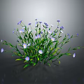 Vibrant Purple and White Flowering Plant with Green Stems Leaves against Dark Background