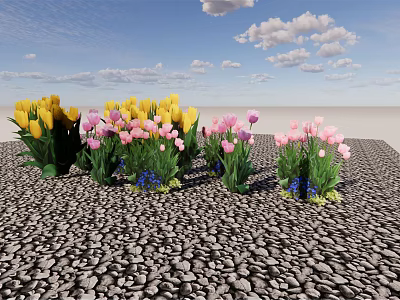 Yellow Pink Tulips And Blue Flowers On Pebble Ground Under Blue Sky With White Clouds 3d model