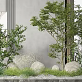 Indoor Natural Landscape With Lush Trees Green Plants Gray Wall Stones And Gravel