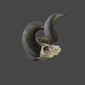 Animal Skull With Curved Horns And Natural Texture On Gray Background