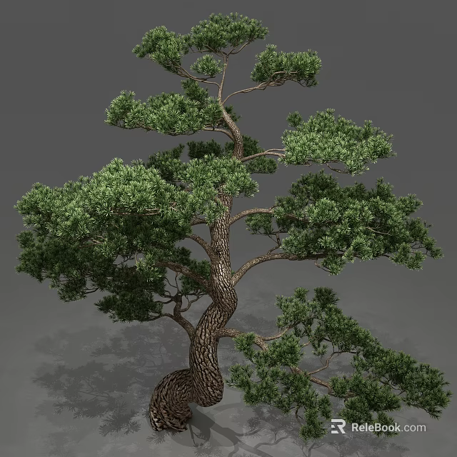 Lush Green Tree With Twisted Trunk And Dense Foliage In Natural Form 3d model 
