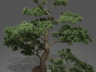 Lush Green Tree With Twisted Trunk And Dense Foliage In Natural Form 3d model