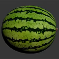 Fresh Ripe Watermelon with Green Black Striped Pattern on Dark Background and Reflective Surface