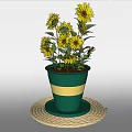 Potted Sunflower Plant In Blue Green And White Striped Pot On Woven Mat