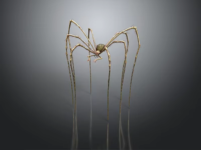 Golden Spider Sculpture Featuring Long Slender Legs On Black Background With Reflection 3d model