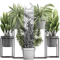Indoor Potted Greenery With Various Plants On Metal Stands And Gray Pots