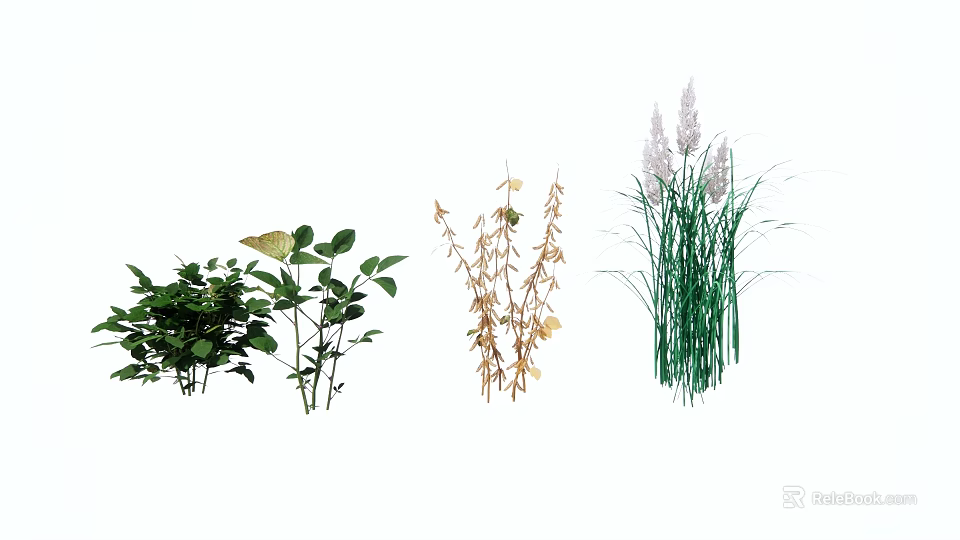 Garden Landscape Design With Various Green Plants And Ornamental Grasses 3d model 
