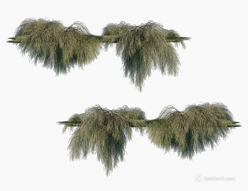 Cascading Green Herbaceous Plants Clustered in Rows with Hanging Foliage 3d model 