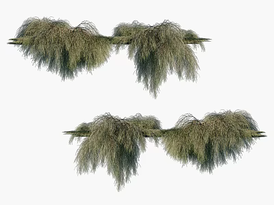 Cascading Green Herbaceous Plants Clustered in Rows with Hanging Foliage 3d model