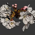 Beautiful Cherry Blossom Bouquet With White Pink Flowers Red Bud Brown Stem And Grey Background