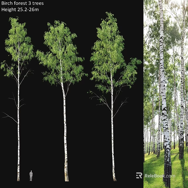 Birch Tree Decorative Ornament Set Natural Style Home Decoration With Green Leaves And White Trunks 3d model 