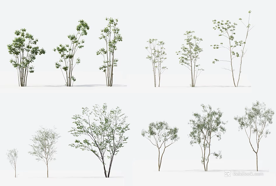 Various Arbor Tree Types with Diverse Foliage and Branch Structures for Landscaping 3d model