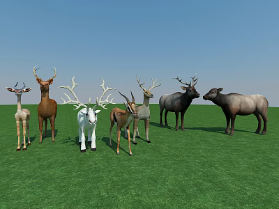 Various Reptile Species Standing On Green Grass In Natural Habitat 3d model