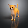 Yellow Chihuahua Dog Standing On Black Shiny Surface With Gray Background