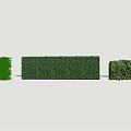 3D Green Hedge Wall Collection Showcasing Various Shrubs Designs And Textures 3d model
