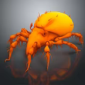 3D Rendered Orange Mite with Many Legs and Spikes on Dark Background Showing Reflection