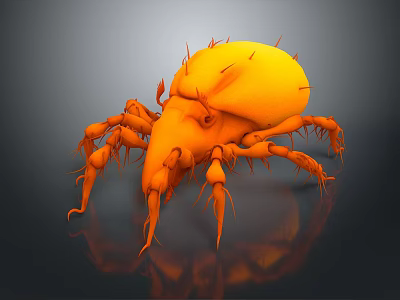 3D Rendered Orange Mite with Many Legs and Spikes on Dark Background Showing Reflection 3d model