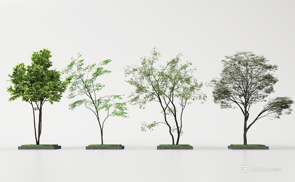 Four Trees in Various Forms on Black Bases with White Background 3d model 