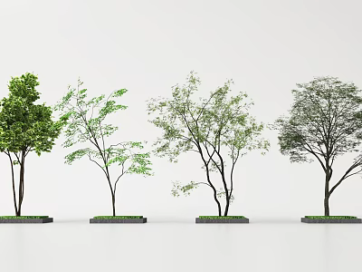 Four Trees in Various Forms on Black Bases with White Background 3d model