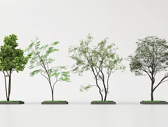 Landscape Trees Garden Trees Trees Trees 3d model