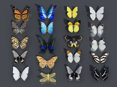 Various Colored Patterned Butterflies and Yellow Dragonfly in Displayed Collection 3d model