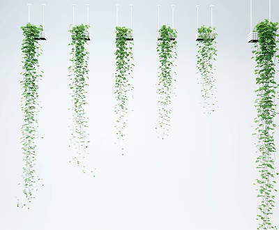 Lush Trailing Green Hanging Basket Plants for Indoor Home Decor Fresh Natural Atmosphere 3d model