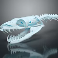 Detailed Animal Organ Skeleton Skull With Sharp Teeth And Blue Accents On Dark Background