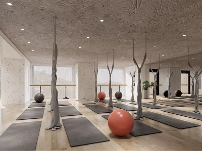 Spacious Yoga Fitness Studio With Aerial Hammocks Mats And Exercise Balls 3d model