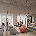 Spacious Yoga Fitness Studio With Aerial Hammocks Mats And Exercise Balls