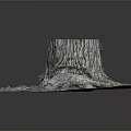 Natural Wooden Stump With Detailed Bark Texture And Exposed Tree Roots In Stone Setting