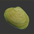 Shell Cartoon Pearl Pink Red Shell Mussel Clam Freshwater Pearl Seawater Pearl Nanyang Pearl 3d model