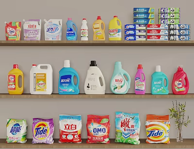 Household Laundry Cleaning Supplies Various Brands Detergent Bottles Soap Bars And Washing Powder On Shelves 3d model