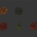 Five Seasonal Trees with Red Orange White Foliage and Various Forms