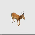 Saiga Antelope Standing On Green Background With Brown Coat Long Nose And Curved Horns