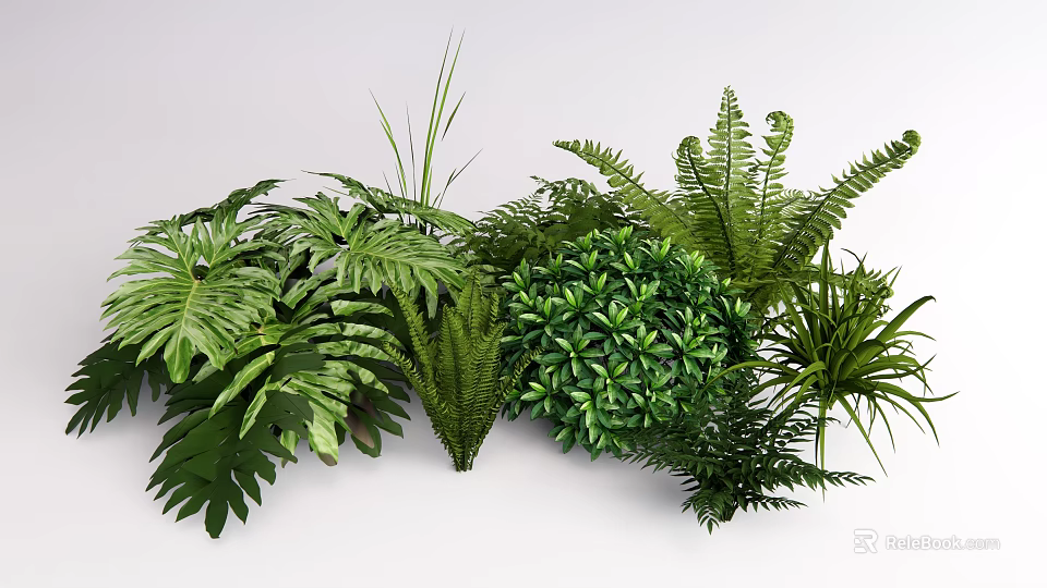 Various Types of Lush Green Plants Including Ferns Monstera and Tropical Foliage 3d model 
