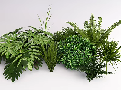 Various Types of Lush Green Plants Including Ferns Monstera and Tropical Foliage 3d model