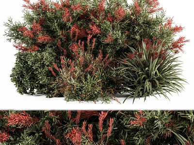 Various Lush Shrubs With Red Flowers And Green Foliage In Garden 3d model
