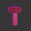 Fresh Edible Mushroom With Red Brown Cap And Light Beige Stem On Dark Glossy Surface