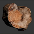 Plant Based Natural Tree Stump With Rustic Wood Texture For Home Decor