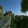 Traditional Garden Landscape With Lush Green Trees Rock Formations And Clear Sky