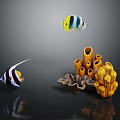 Colorful Tropical Fish Swimming Near Vibrant Coral Reef Marine Life Scene
