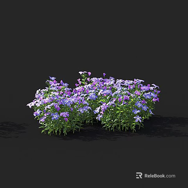Blooming Purple And White Flowers With Green Leaves In Garden Cluster 3d model 