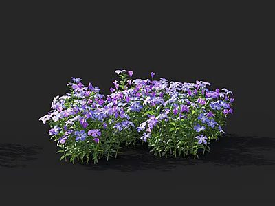 Blooming Purple And White Flowers With Green Leaves In Garden Cluster 3d model