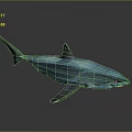 Blue Shark Model Showcased On Gray Background With Reflective Surface 3d model