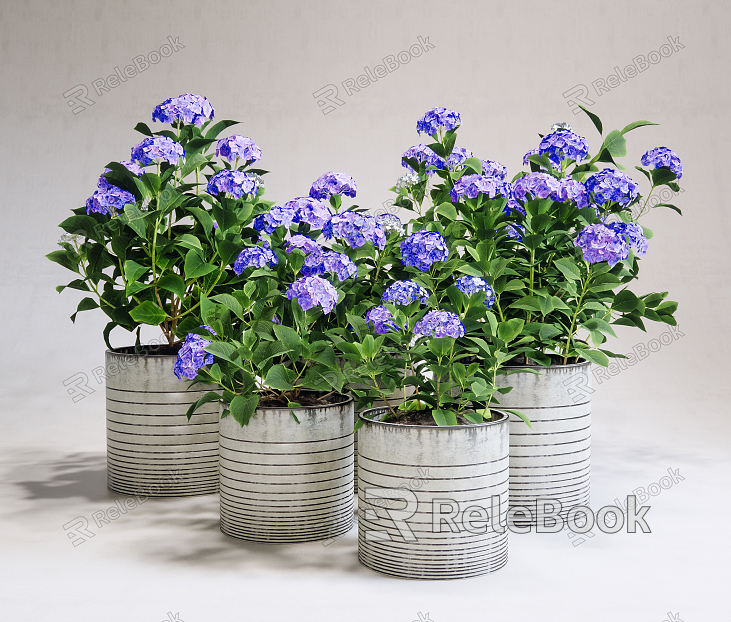 Modern potted hydrangea model