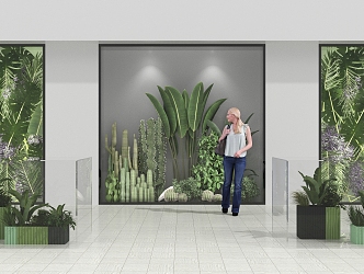 Green Plant Shop Window Green Plant Wall Frosted Glass Female Figure Banana Leaf Flower Box Fleshy Plant Cactus 3d model