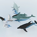 Aquatic Animals Collection Featuring Dolphins Whales and Different Colored Marine Life