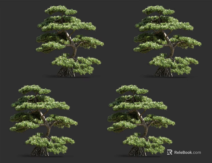 Lush Bonsai Pine Trees Showcasing Unique Shape And Dense Green Foliage 3d model 