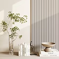 Decorative Ornament Set With Green Plant Glass Vase Books Bowl Ornament On Light Striped Wall