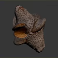 Natural Agricultural Crop Featuring Rough Textured Surface And Multi Layered Brown Orange Form
